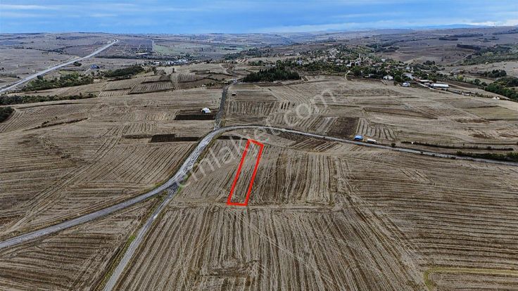 Bıyıkali Mah. Ulaşımı Kolay Verimli 2973 M² Tarla