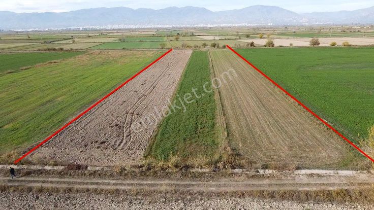 Nazilli Yazırlı Mahallesi’nde Satılık Tarım Arazisi