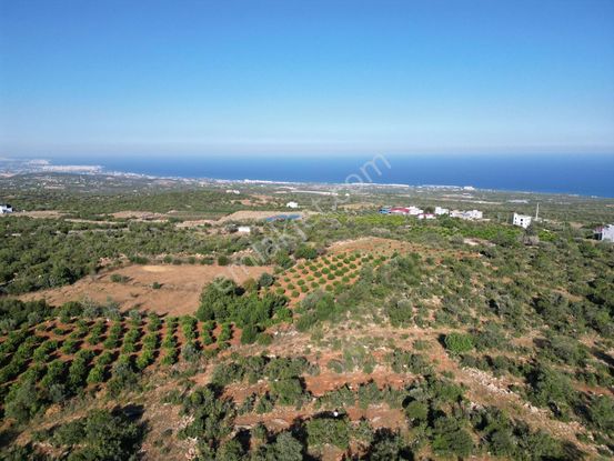 Ayaş Kumkuyu Çanakçı Da Satılık 400 M2 İmar Parseli