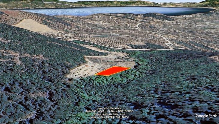 Uygun Fiyat!! Çepni'de 962 M2 Satılık Tarla (takas Olur)