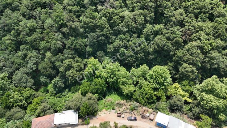 Realty Nexus'dan Kayapa'da Villa İmarlı Arsa