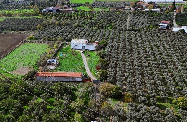 Rw Nefes'ten Edremit Bostancı' Da Fırsat Gemlik Zeytinlik