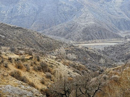 Konal / Felahiye Silahtar'da Uygun Fiyata Tek Tapu Bağ