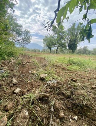 Alanya Bademağacında İmarlı 850 M2