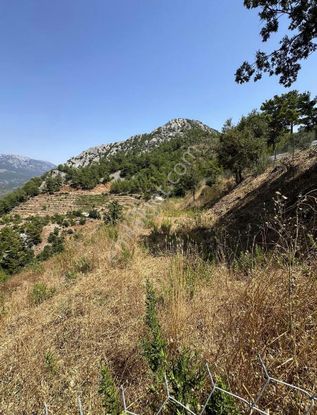 Alanya Çamlıca'da 1.576 M2 İmarlı Arsa