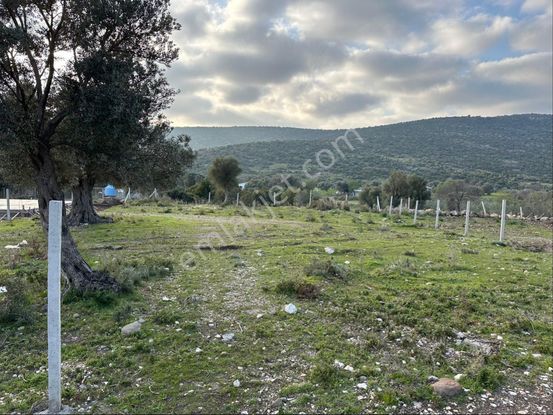 Sahibinden Elektrik Ve Suyu Var