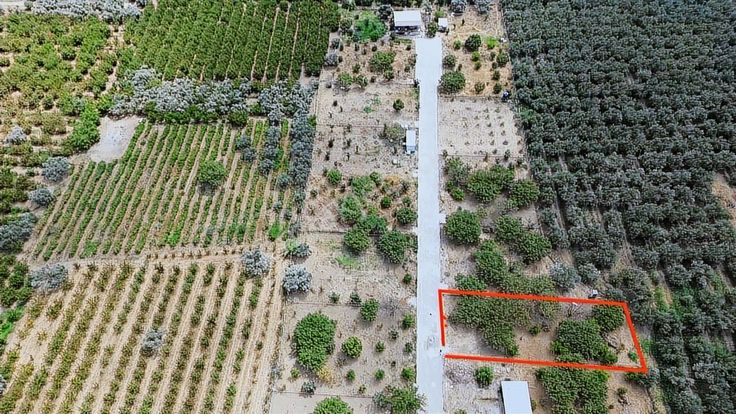 Elektrik & Su Hazır! Ana Yola Yakın, Huzur Bahçesi