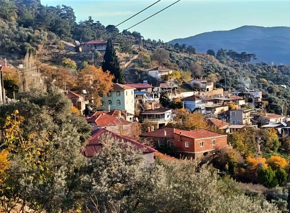 İzmir Bayındır Dernekli'de 264 M2 Köyiçi Uygun Bahçe. Açıklamayı Okuyarak Arayınız.