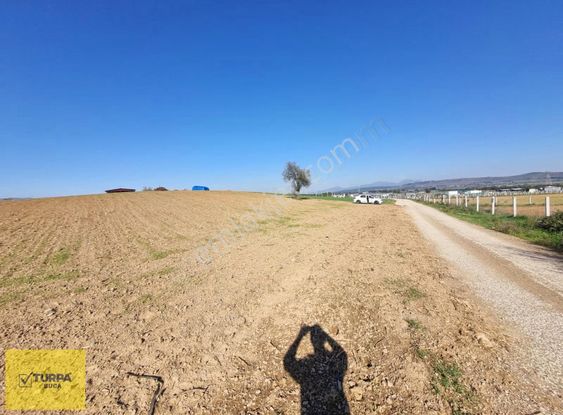 Turpa Buca'dan Kadastral Yol Cepheli Köy Merkezi Yakınında Tarla