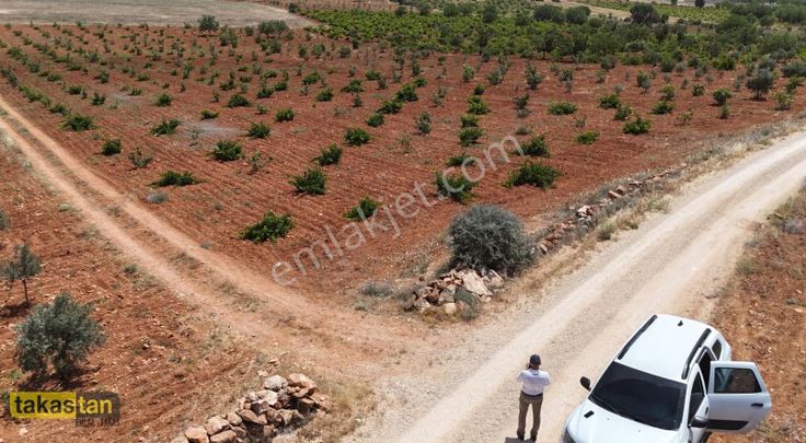 Suboğazı Tek Tapu Resmi Yola Cepheli Şehre 10 Dk Uygun Fırsat