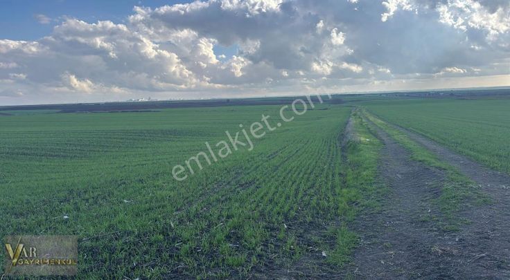 Saray Göçerler'de 7.500m2 Tek Tapu Kadastro Yola Cephe Tarla