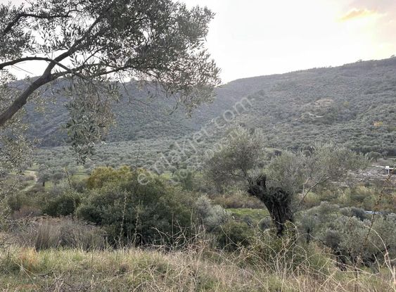 Doğa Dostu'ndan Bayındır Yakapınar Tek Tapu 3612 M2