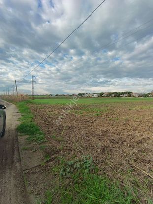 Tarladan Hisse 368 M2 Yatırımlık