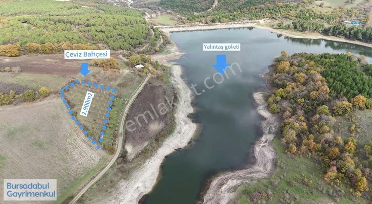 Bursadabul'dan Yalıntaş Gölette Ceviz Bahçesi 2.900m2
