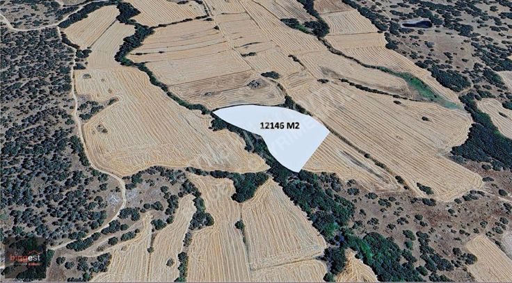 Pınarhisar Kurudere De 12.146 M2 Tarla ( Takasa Açık )