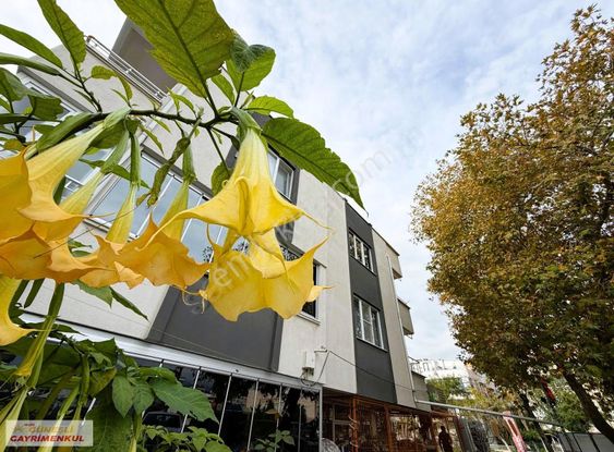 "güneşli'den"altınkumda Şahane Konum Denize 50mt Full Yapılı 2+1