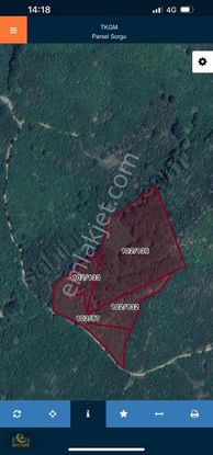 Sakarya Kocaali Karapeletin Mah. Satılık Fındıklık