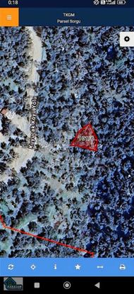 Burhaniye De Yatırımlık Acil Satılık Zeytinlik