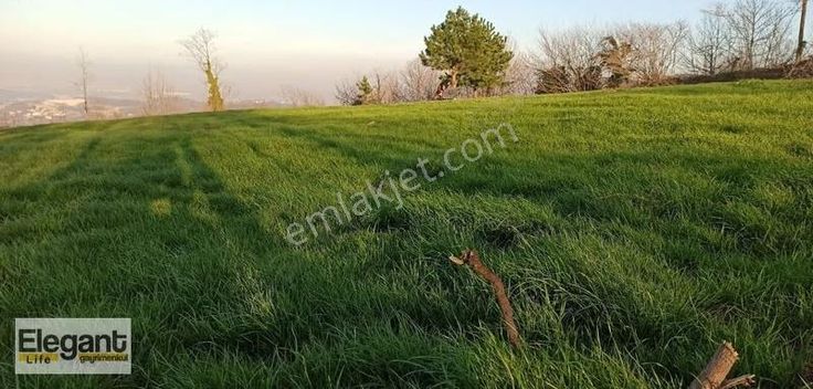 Sapancada Panoramik Göl Manzaralı 10 Dönümlük Yatırımlık Arazi!