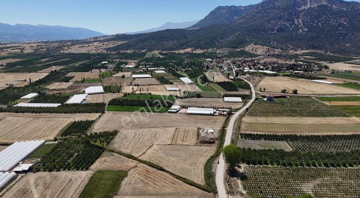 06 Truva Emlaktan Elmalı Mursel Köyünde Satılık Tarla