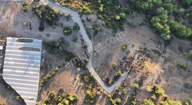 07 Truva Emlaktan Kumluca Toptaş Köyünde Satılık Tarla