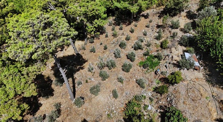 07 Truva Emlaktan Kumluca Güzören Köyünde Satılık Arsa