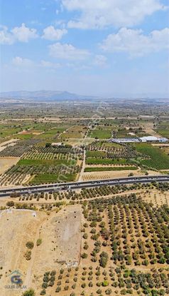 Manisa Ahmetlide Ankara Asfaltına Yakın Ruhsatlı Besi Çifliği