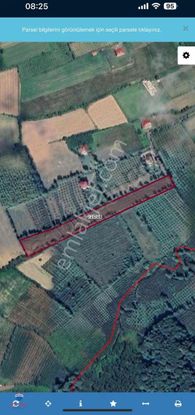 Cihan Çaylan'dan Salıpazarı Yavaşbey De Fırsat Tarla