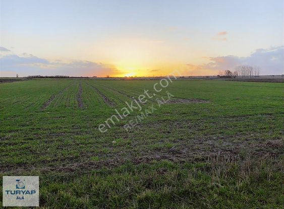 Tekirdağ Saray'da 9452 M² Satılık Tarla