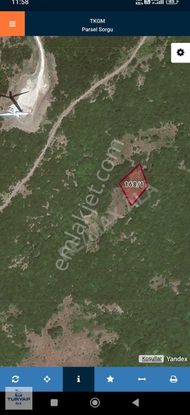 Turyap Ala Gayrimenkul'den Şarköy Gaziköy 'de Satılık Tarla