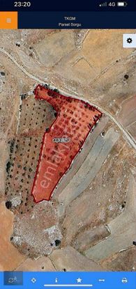 Bu Fiyata Başka Yok