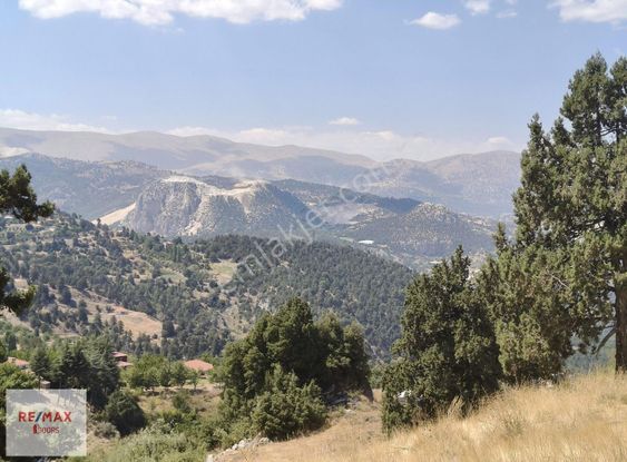 Konyaaltı Geyikbayırın'da 4169 M2 İmarlı Muhteşem Arsa