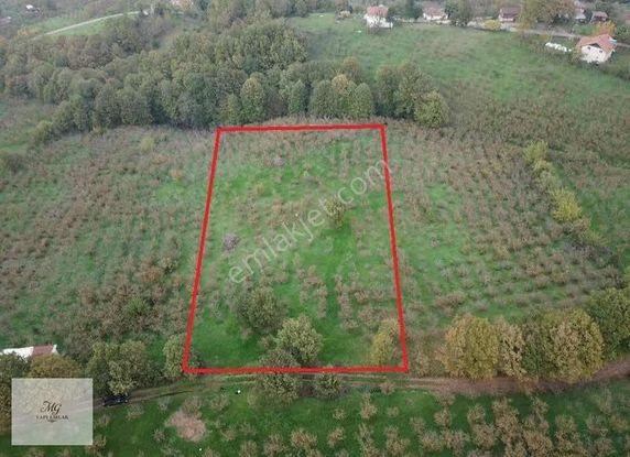 Mg Emlaktan Kuzulukta 4.633 M² Yatırıma Uygun Arazi