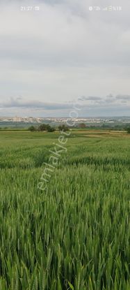 Kırklareli Kavakdere Köyünde Hisseli Arsa 666m2 İhtiyacdan Dolayı Acilen Satılıktır