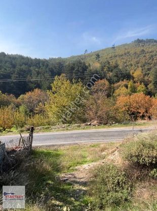 Kemalpaşa Bayramlı Mahallesinde 1.525 M2 Satılık Bahçe