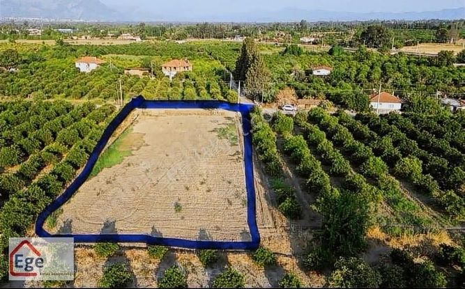 Ege Eemlaktan Köyceğiz Döğüşbelende Satılık Tarla