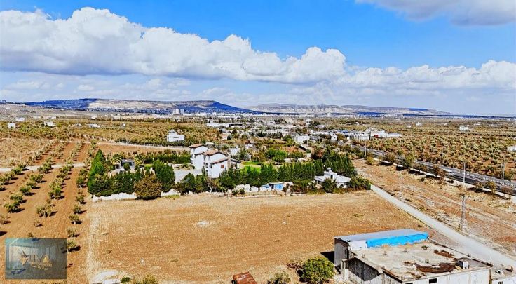 Liva Gayrimenkul'den Gümrük Yoluna Sıfır Villalık Satılık Arazi