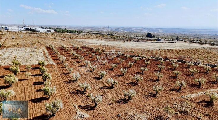 Kilis Liva Gayrimenkul'den Organize Sanayi Yanında Satılık Arazi