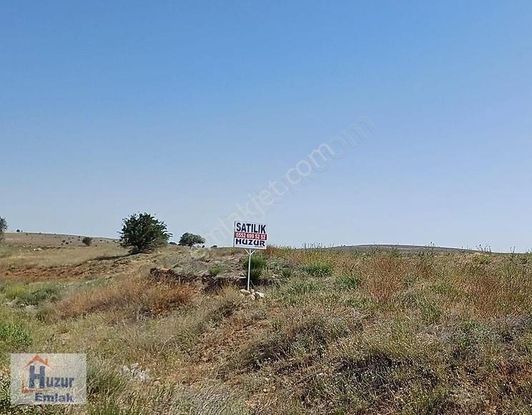 Şuhut Yolu Üzeri Organize Sanayi Karşısı Satılık Tarla