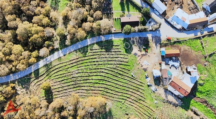 Müstakil Tapulu, 1.501 M² Asfalt Yola Cepheli Arsa