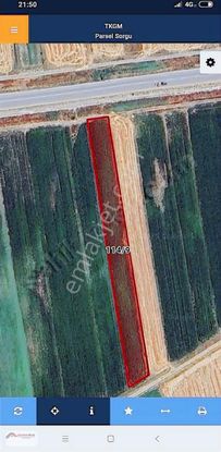 Gülpınar Emlak Dan Gölhisar Çavdır Ana Asfalta Sıfır 4 Dönüm