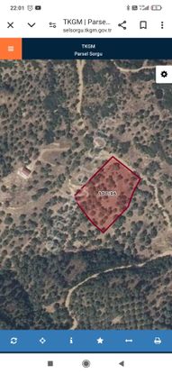 Tire Doğuş Emlaktan Peşreflide Satılık Zeytinlik