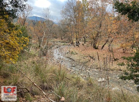 Lobby Fortisten Yeşilyaylada Satılık Hobi Bahçesi