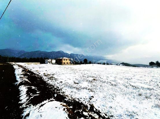 Kar Emlaktan Alpu Yaylasında 500 M2 Satılık Arsa