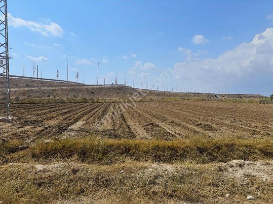 New Form'dan Çukurova Havalimanı Yolunda 3858 M2 Satılık Tarla