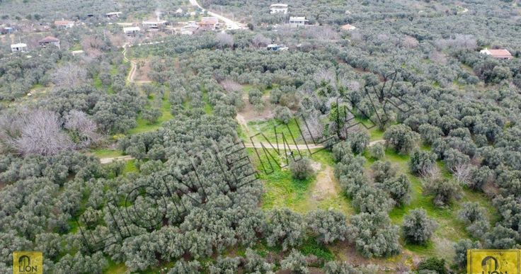 Erdek Yukarıyapıcı Düzler Mevkiinde Satılık 718m² Tarla