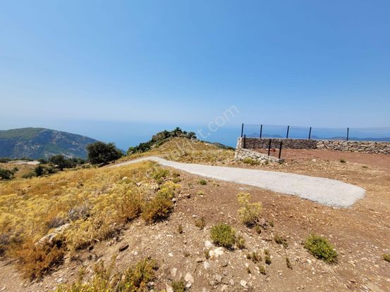 Goldhouse Dan Satılık Karaağaç Kozağacı Nda Deniz Manzaralı Tarla