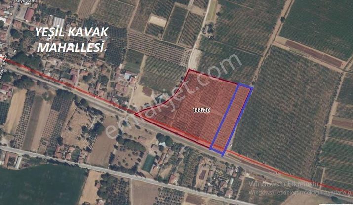 Yuvam Gayrimenkul'den Salihli Yeşilkavak Mah.6000 M2 Satılık Hisseli Zeytinlik