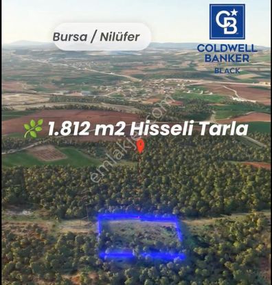 Cb Black'ten Nilüfer Başköy Plan İçinde 1.812m2 Tarla