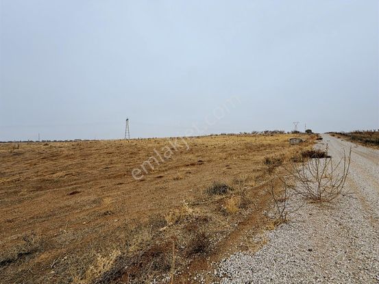 Coldwell Banker Safir'den Cihadiye Mevkii'nde Satılık Tarla